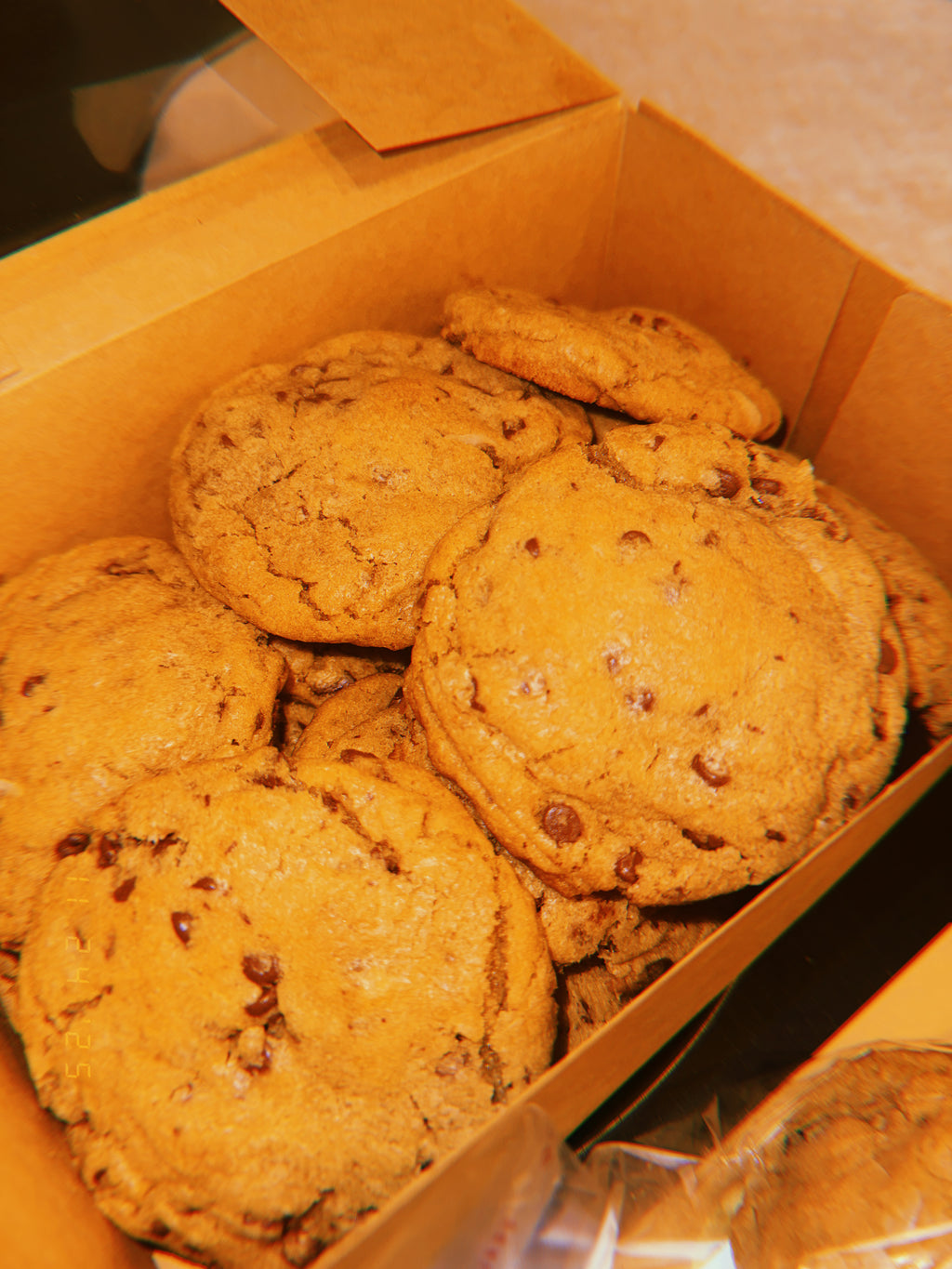 Chocolate Chip