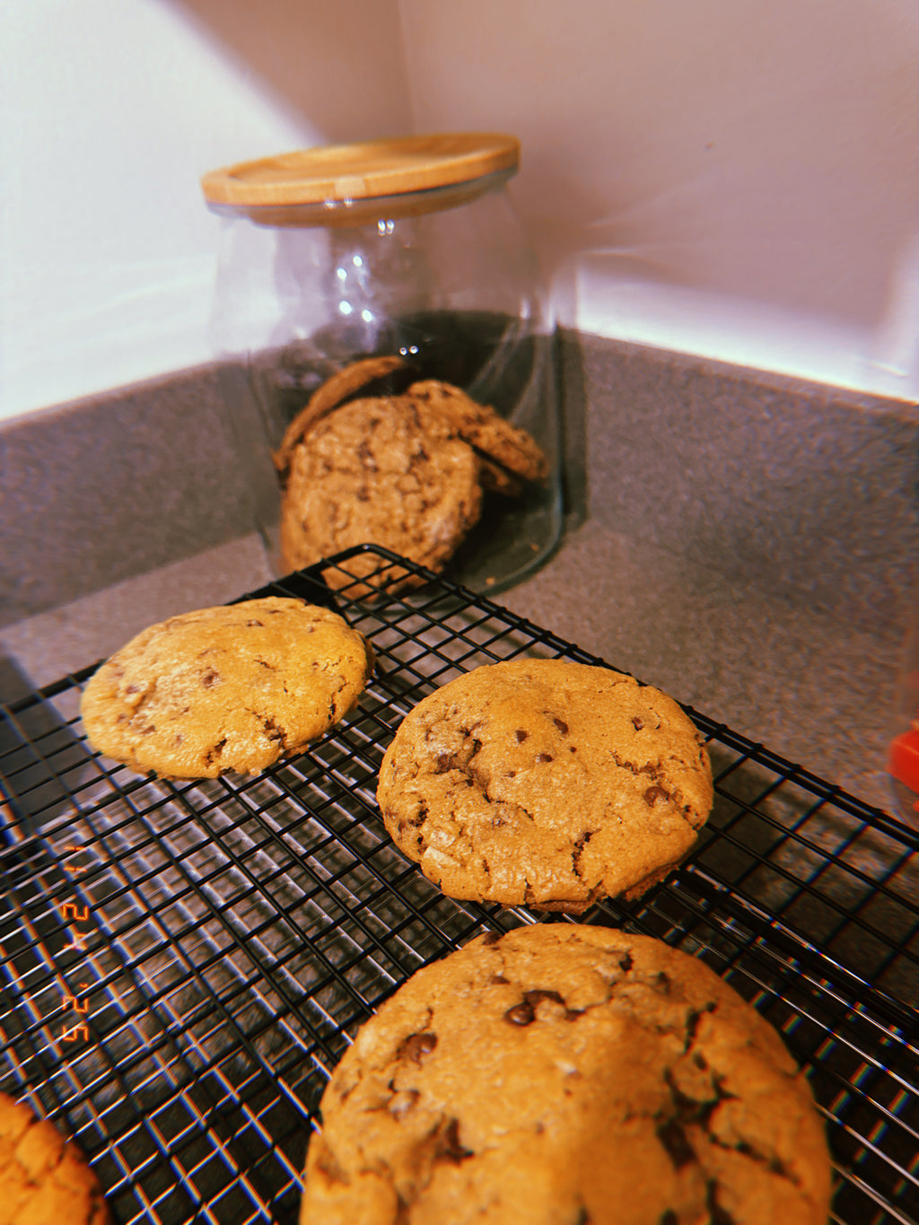 Chocolate Chip